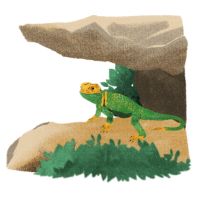 メガエッグ光プロバイダ口コミ4