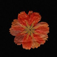 メガエッグ光回線速度口コミ4