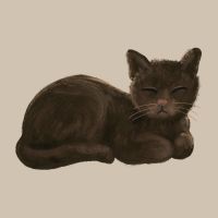 @nifty光プロバイダ口コミ3