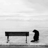 @nifty光回線速度口コミ4