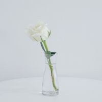 おてがる光キャンペーン口コミ4