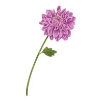 おてがる光プロバイダ口コミ3