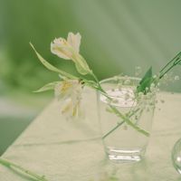 おてがる光サポート口コミ3