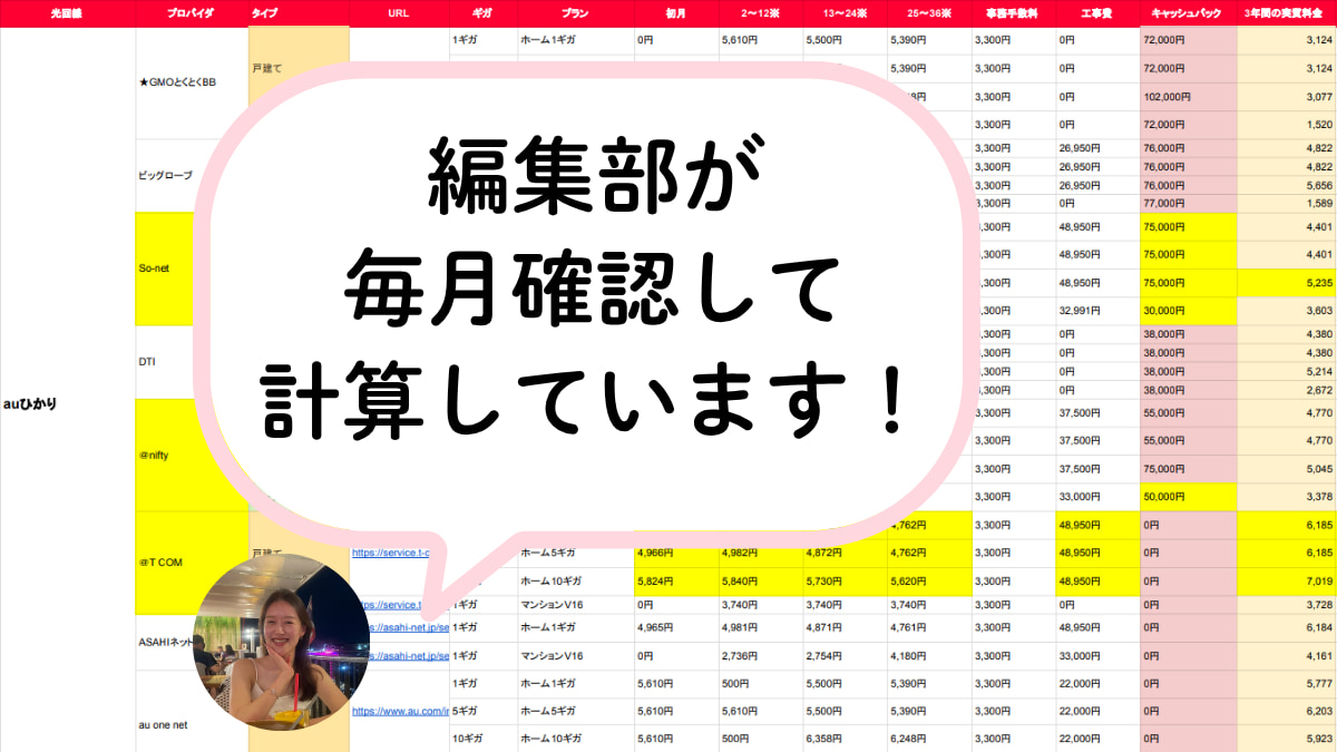 実質料金のPDF