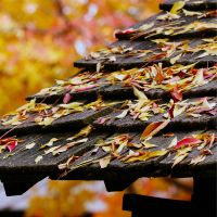 So-net光回線速度口コミ3