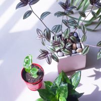 So-net光回線速度口コミ4