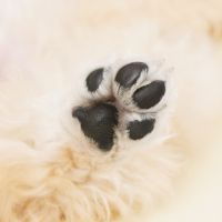 So-net光回線速度口コミ1