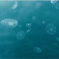 So-net光サポート口コミ1