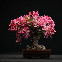 とくとくBB光工事口コミ4