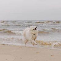 とくとくBB光キャンペーン口コミ4