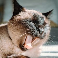 とくとくBB光プロバイダ口コミ3