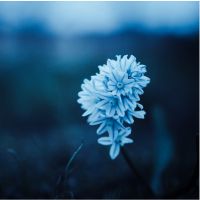 とくとくBB光サポート口コミ4