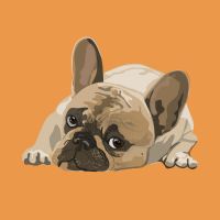 ahamo悪い口コミ2