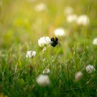 ahamo悪い口コミ3