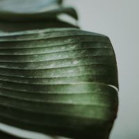 独自回線au口コミアイコン4