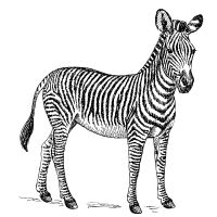 独自回線コミュファ光口コミアイコン6