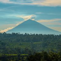 enひかりプロバイダ口コミ3