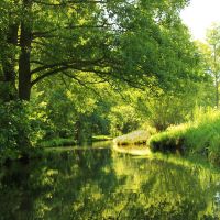 enひかりプロバイダ口コミ4