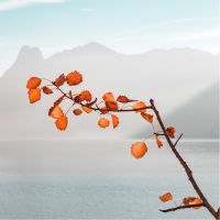 独自回線eo光口コミアイコン5