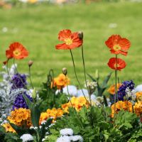 Fon光悪い口コミ2