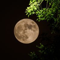 Fon光悪い口コミ3