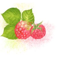 独自回線J:COM 光口コミアイコン5