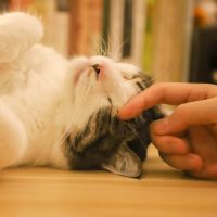 BroadWiMAX月額料金口コミ4