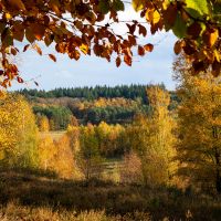 BroadWiMAX通信速度口コミ1