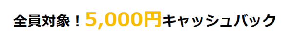 GMOとくとくBB-5,000円キャッシュバック