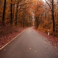 home 5Gキャンペーン口コミ4