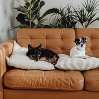 home 5G月額料金口コミ1