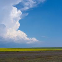 モバレコAir月額料金口コミ3