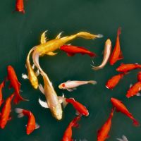 モバレコAir月額料金口コミ2