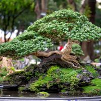 モバレコAir端末口コミ3