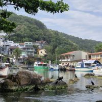 楽天ターボキャンペーン口コミ1