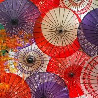 楽天ターボ月額料金口コミ1