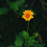 ソフトバンクエアー月額料金口コミ3