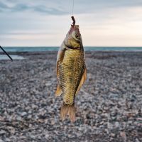 ソフトバンクエアー月額料金口コミ1