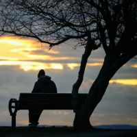 5G CONNECTキャンペーン口コミ3