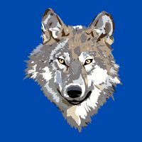 5G CONNECTキャンペーン口コミ1