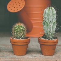 5G CONNECTキャンペーン口コミ2