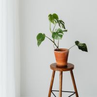 5G CONNECT通信速度口コミ4