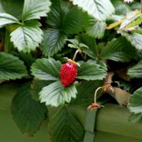 5G CONNECTサポート口コミ2