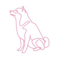 5G CONNECT端末口コミ4