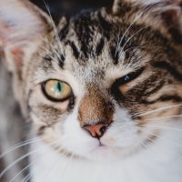 5G CONNECT端末口コミ1