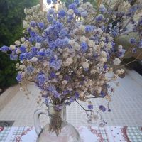 AiR-WiFi月額料金口コミ3