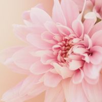 AiR-WiFiサポート口コミ1