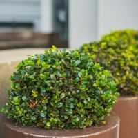 BIGLOBE WiMAXキャンペーン口コミ3