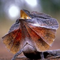 BIGLOBE WiMAXキャンペーン口コミ1