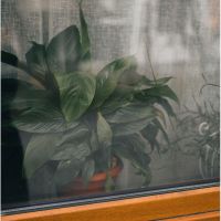 BIGLOBE WiMAX通信速度口コミ1